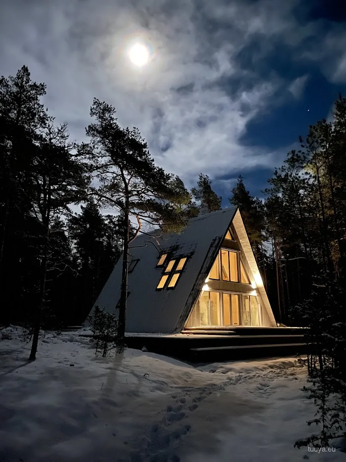 A-frame cabin under moonlight in a snowy forest