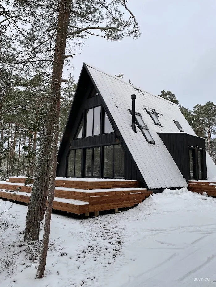 Black A-frame cabin in a snowy pine forest